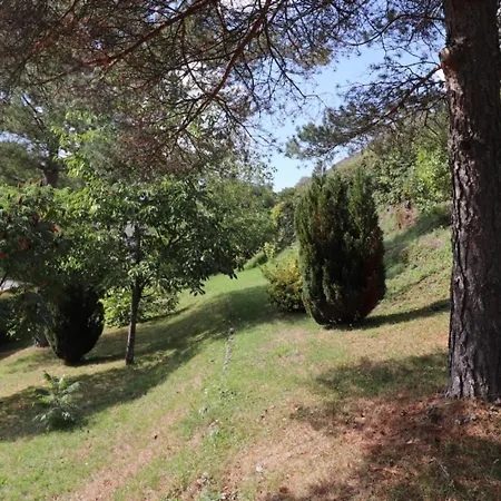 Confort A De Mamou, 4 Pers, Proche Aurillac, Jardin Clos, Animaux Acceptes, Toutes Charges Incluses - Fr-1-742-238 * Giou-de-Mamou